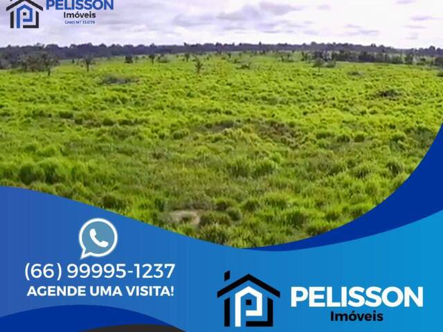 #67 - Fazenda para Venda em Nova Bandeirantes - MT
