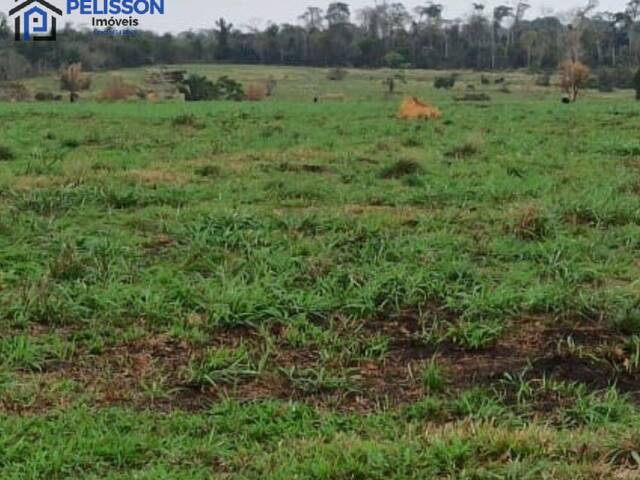#67 - Fazenda para Venda em Nova Bandeirantes - MT
