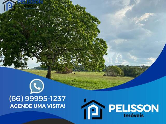 #133 - Sítio para Venda em Alta Floresta - MT